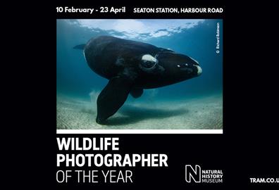 Wildlife Photographer Of The Year Exhibition
