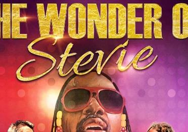 Official artwork for The Wonder of Stevie