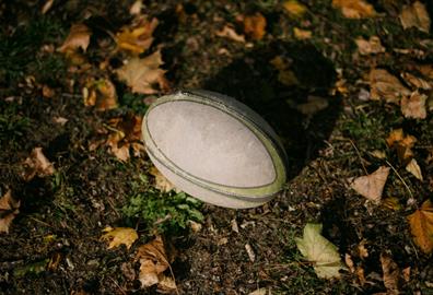 Rugby ball surrounded by fallen leaves