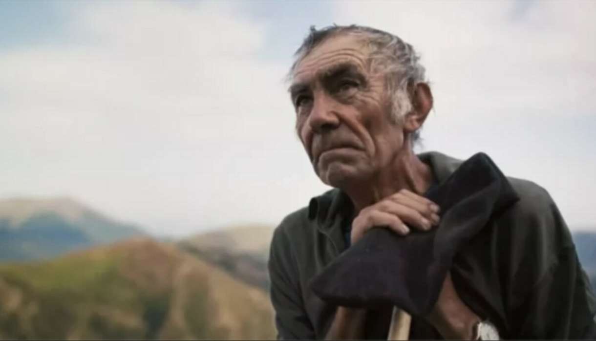 The Shepherd and the Bear The Shepherd and the Bear