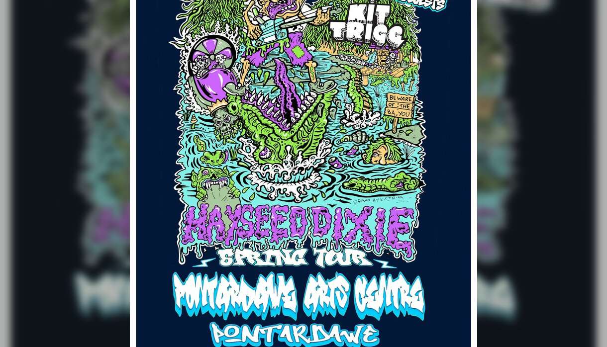Hayseed Dixie Hayseed Dixie