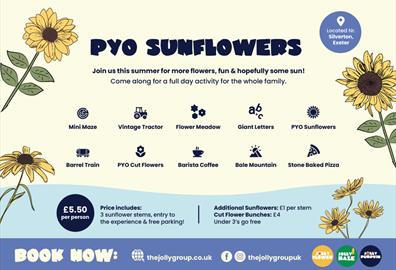 Pick Your Own Sunflowers