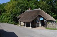 Branscombe Thatched hut