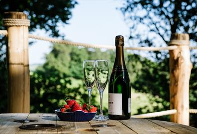 Bubbly & strawberries with view through trees