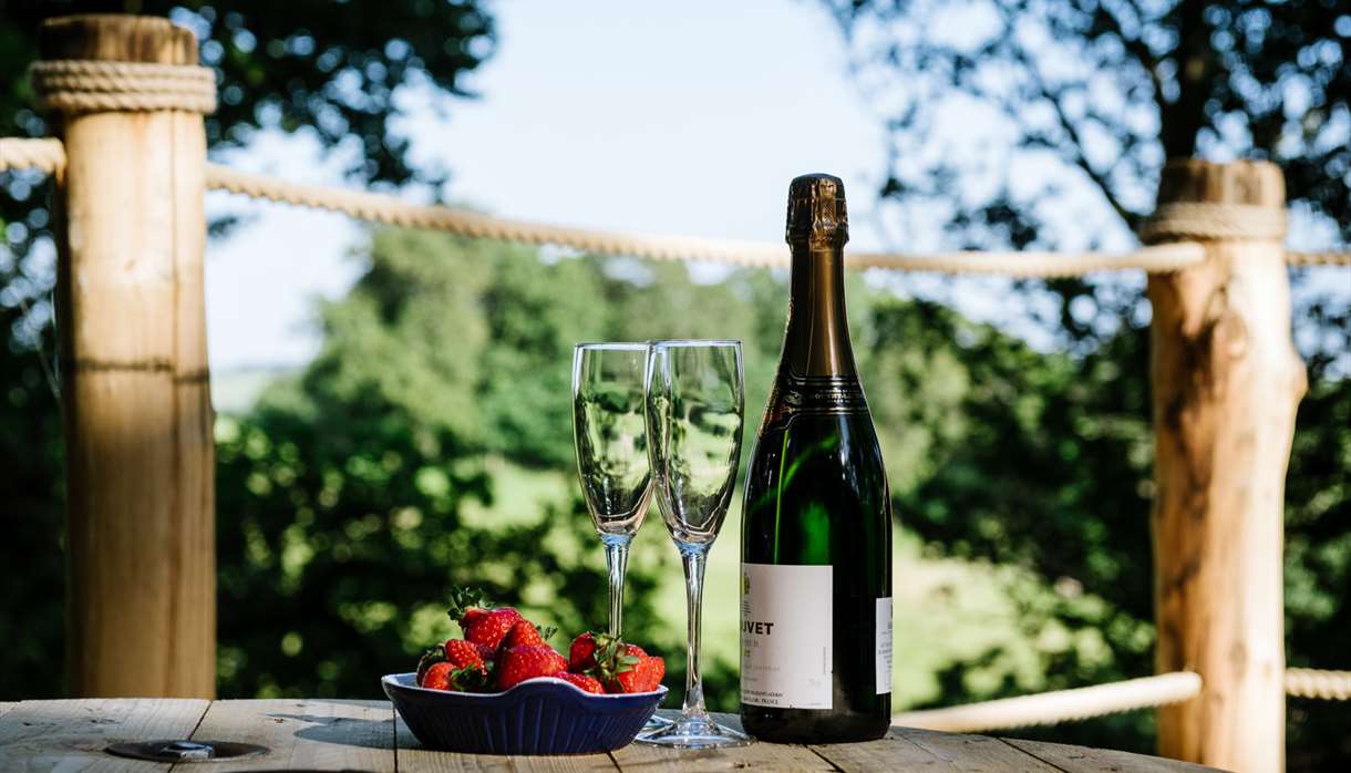 Bubbly & strawberries with view through trees