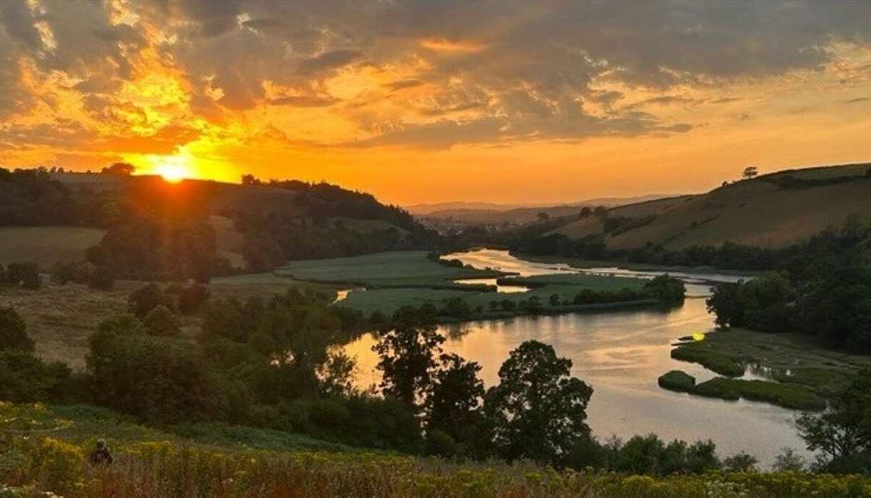 Rewilding Tour with Ambios on the Sharpham Estate Rewilding Tour with Ambios on the Sharpham Estate