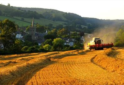 East Devon AONBAONB