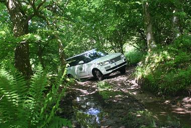 Range rover in the woods