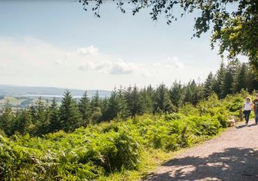 Haldon Forest Park - Forestry Commission - walking with view