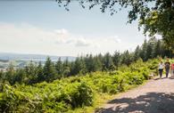 Haldon Forest Park - Forestry Commission - walking with view
