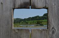 Seaton Wetlands image through the fence