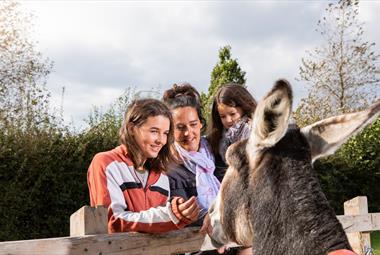 Family enjoys meeting donkey