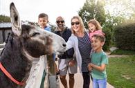 Family gets up close with a friendly donkey at The Donkey Sanctuary