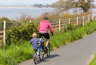 Cycling the Exe Estuary Trail