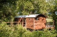 Woodmans Wagon Treehouse - sunny side view
