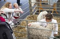 Stroking Sheep (c) Devon County Show Credit: Geoff & Tordis Pagotto