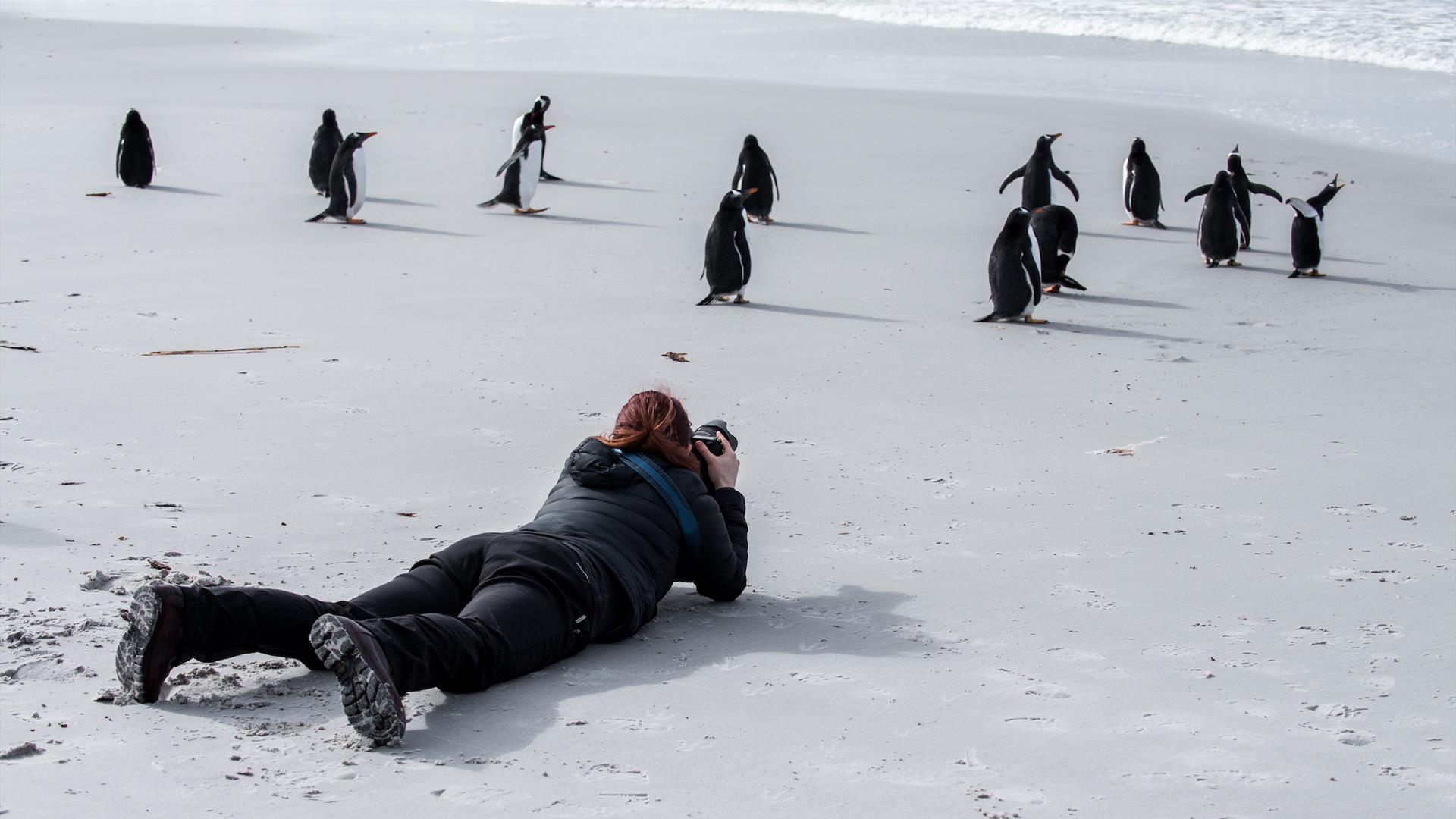 Falkland Islands visual data 7