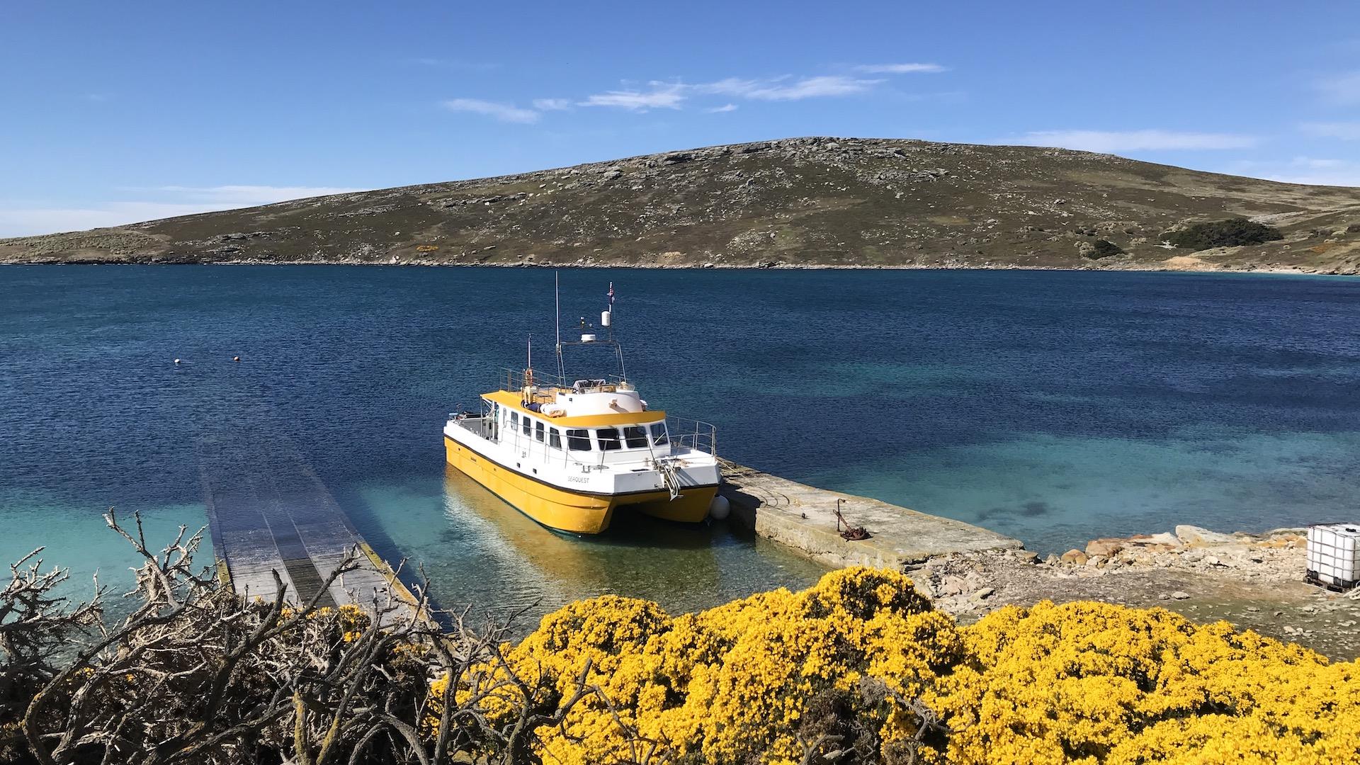Travel by Sea Falkland islands