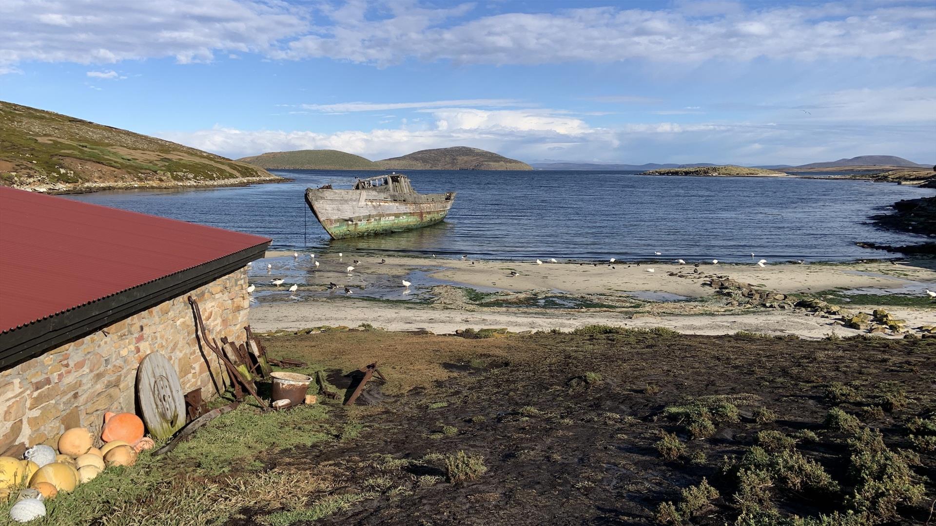 Visit The Falkland Islands | Falklands