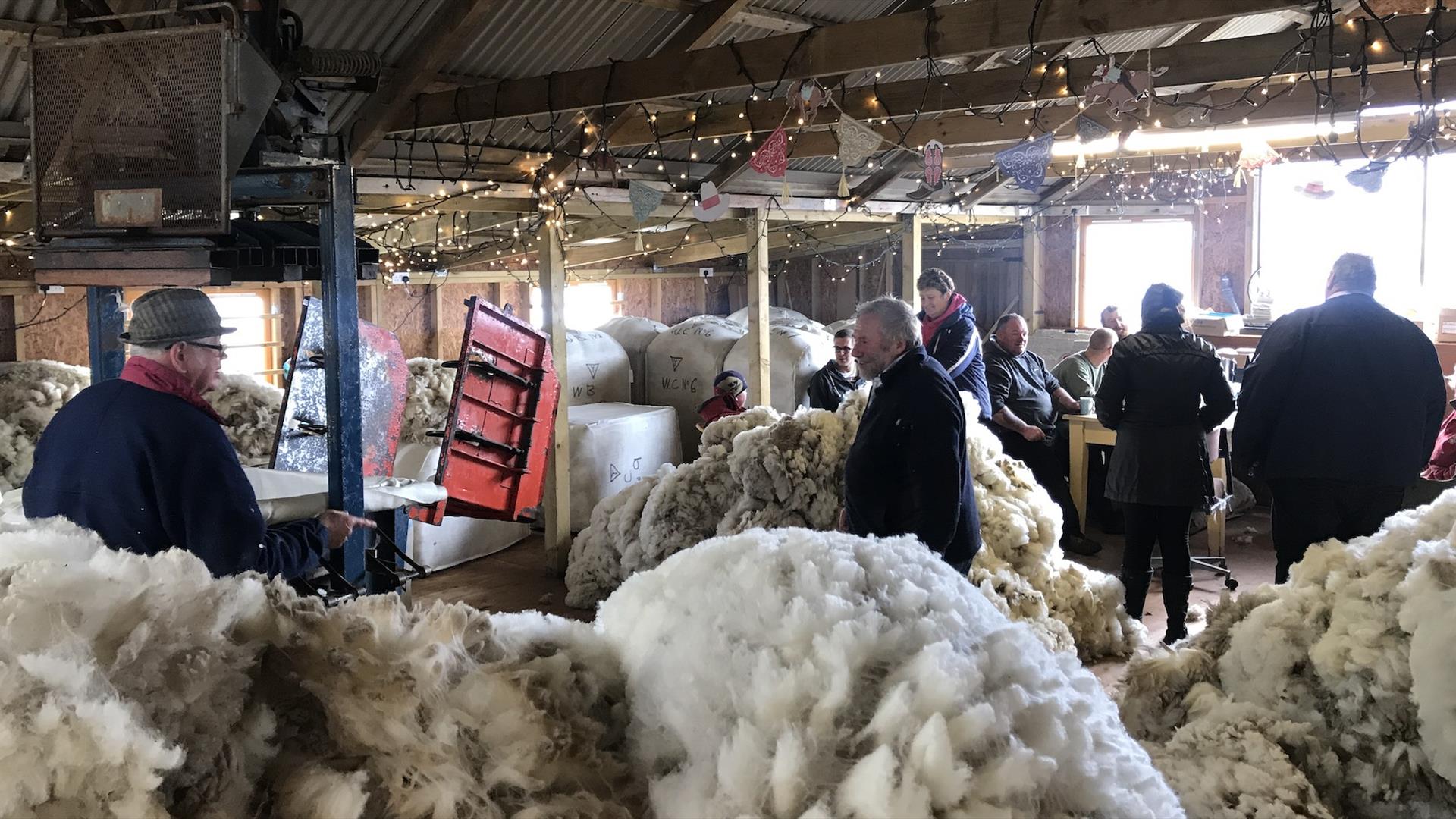 WHAT JOBS ARE IN THE FALKLAND ISLANDS visual data 5