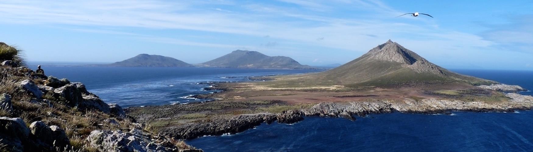 Jason Islands, Falkland Islands