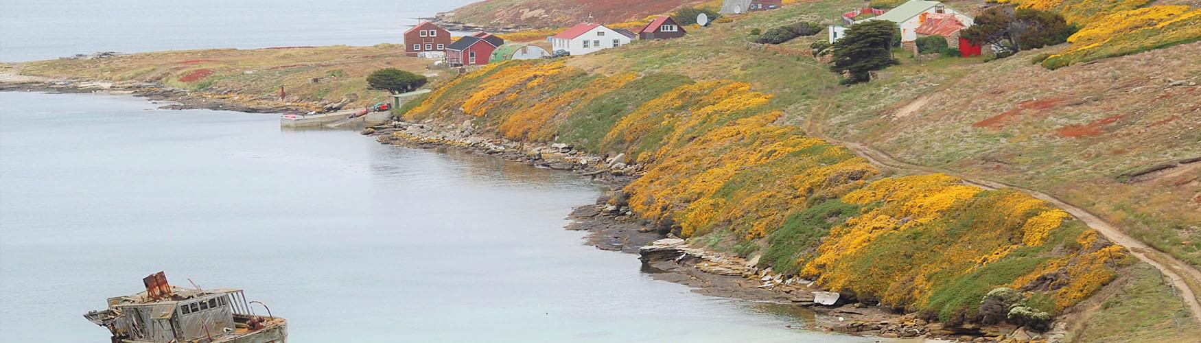 falkland islands tour guide