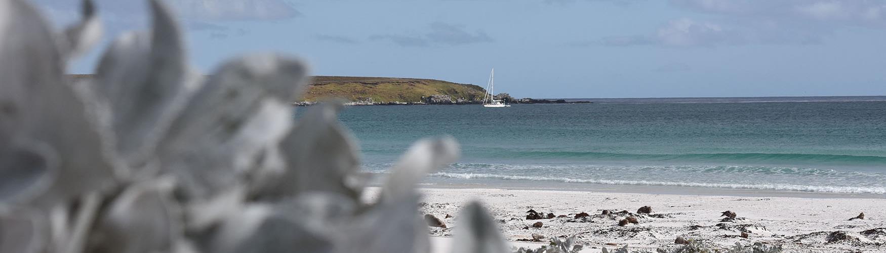 Sailing in the Falkland Islands