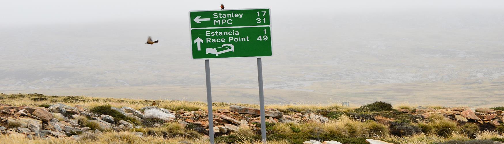 Birds showing the way, East Falkland, Falkland Islands