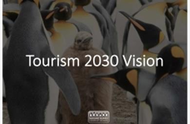 Thumbnail for Vision 2030