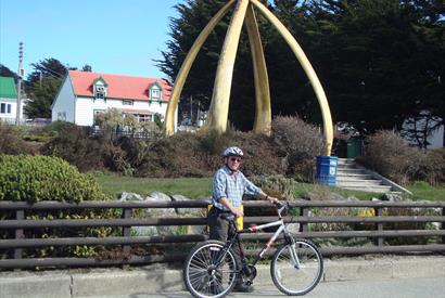 Whalebone Arch