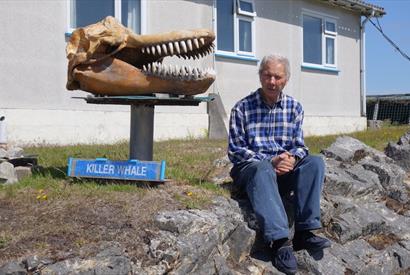 Whalebone Display