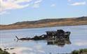 Jhelum Shipwreck 2019 in Stanley, Falkland Islands