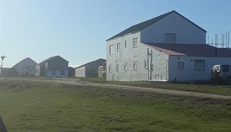 The 3 C's_Hill Cove_Falkland Islands