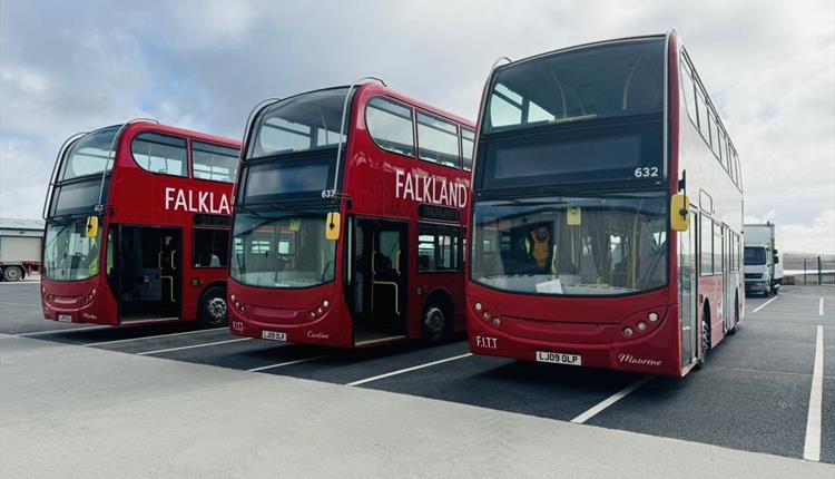 _PolarSeafish_Bus_