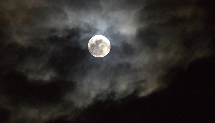Halloween at the Museum in the Falkland Islands