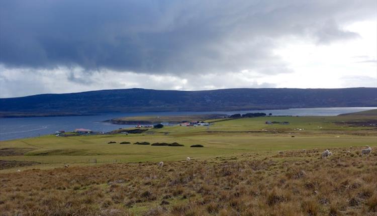 White Grass Cottage_San Carlos_Falkland Islands