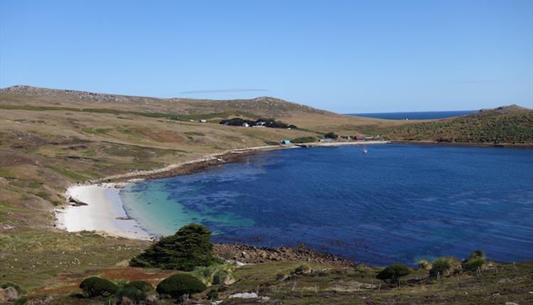 Glorious Falklands' beaches