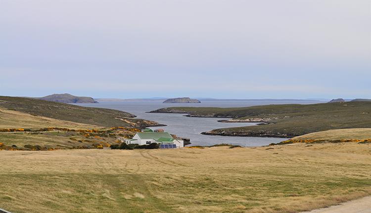 Crooked Inlet_Roy Cove_Falkland Islands