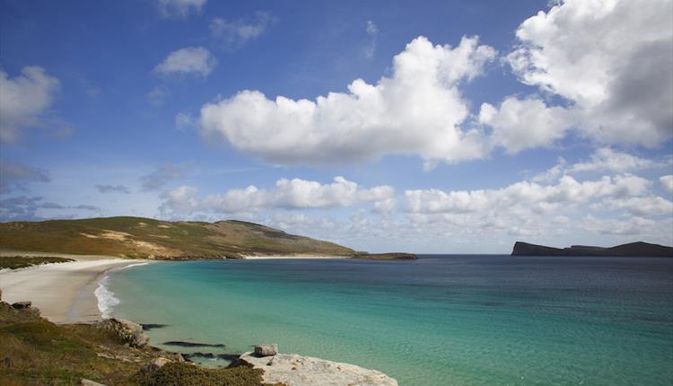 _NewIsland_