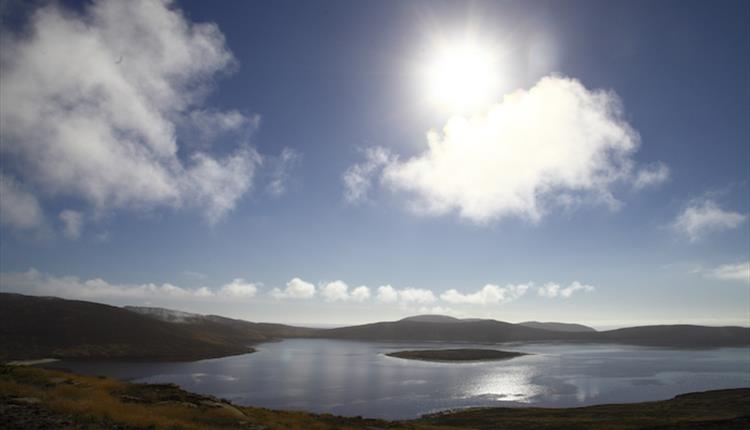 Wayne's Private Tours