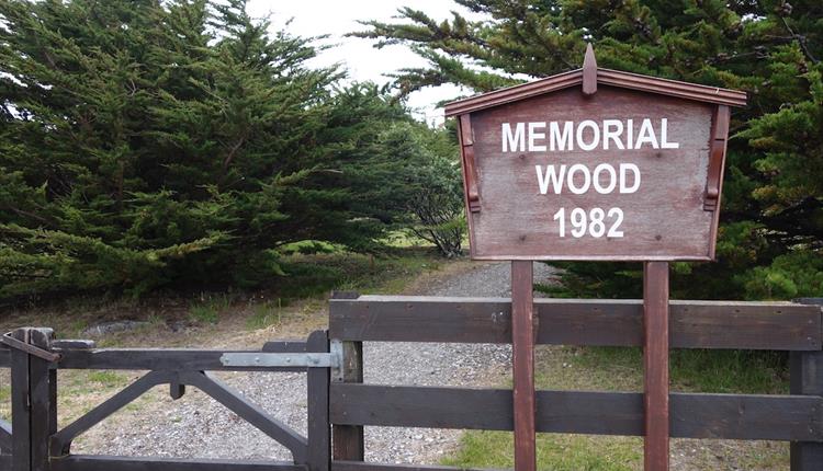 1982 Memorial Wood