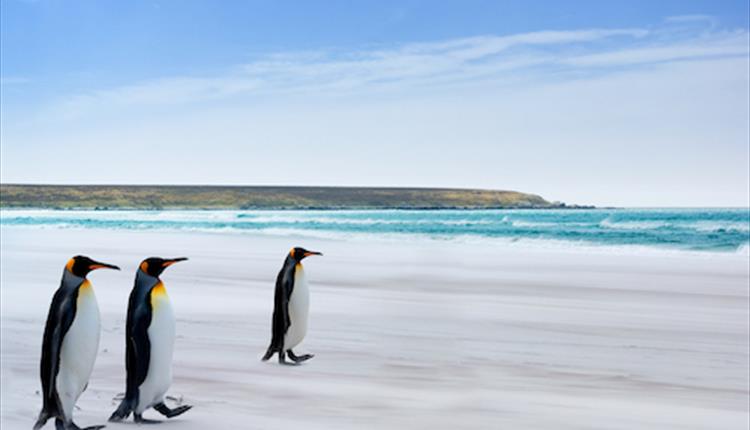 Morning stroll on the beach