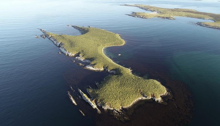 Kidney Island_Sulivan Shipping_Falkland Islands