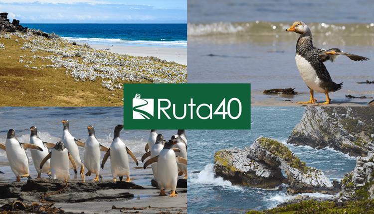 Ruta40_Cover