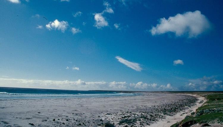 A glorious sunny day on Volunteer Beach in the Falkland Islands