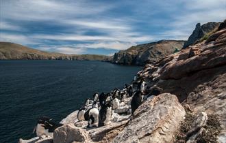 kelper tours falkland islands