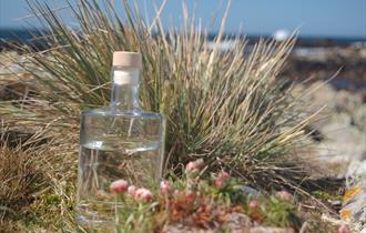 Falkland Islands - Falkland Islands Distillers