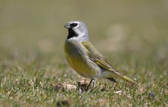 Lyn Blake Nature Reserve
