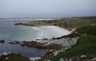 One of the Falkland Islands' many remote, sandy beaches