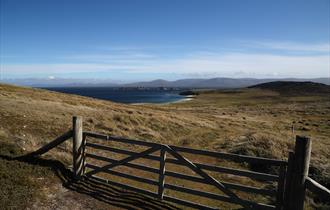 Classic landscape in the Falklands